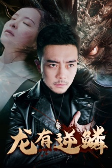 龙有逆鳞（81集）热播短剧推荐