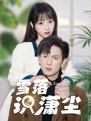 雪落识潇尘（80集）热播短剧分享