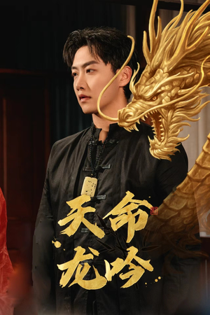 天命龙吟（48集）精彩短剧下载