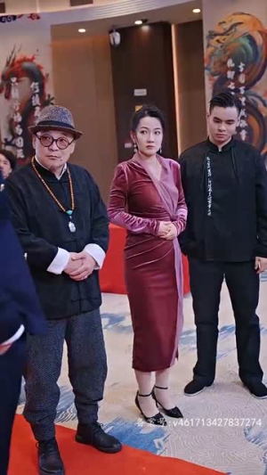 医武神婿（90集）短剧爆款推荐