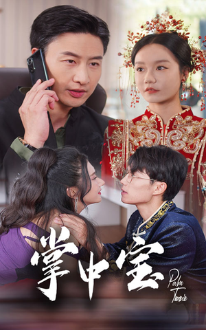 掌中宝（31集）穿越短剧推荐