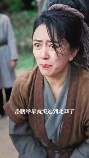 精忠报国（41集）超好看古装短剧