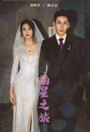 摘星之旅（88集）热播古装短剧