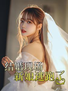结婚现场新娘逃跑了（81集）高分佳作免费看