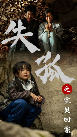 失孤之宝贝回家(71集) 失孤之宝贝回家(71集)在哪个平台看好