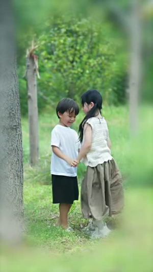 予她半城（100集）精彩短剧后续