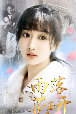 雨落花正开（62集）上热门短剧