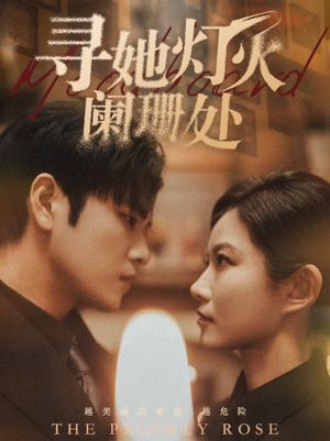 寻她灯火阑珊处（61集）在线播放