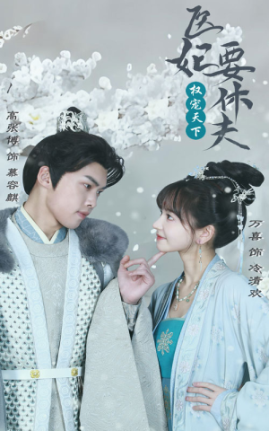 权宠天下：医妃要休夫（94集）演的怎么样