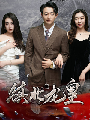 镇北龙帅（97集）短剧精彩片段