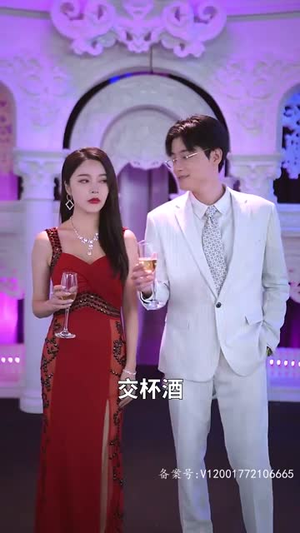 盖世无双（100集）在线看完整版