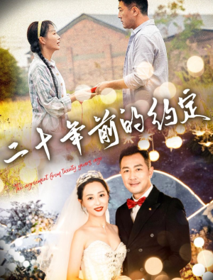 二十年前的约定（57集）在哪个平台看