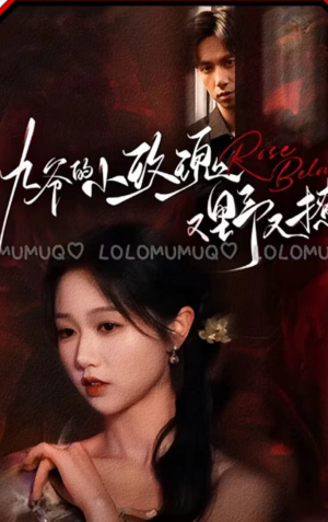 九爷的小玫瑰又野又撩（100集）短剧有好货推荐