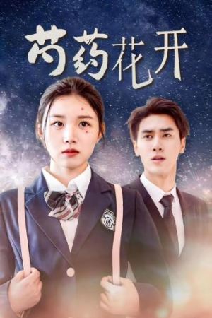 芍药花开（77集）短剧介绍