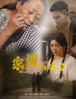 家国两难全（62集）好看短剧分享