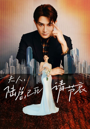 夫人，陆总已死请节哀（95集）短剧看全集