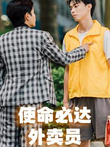 使命必达外卖员（31集）短剧介绍