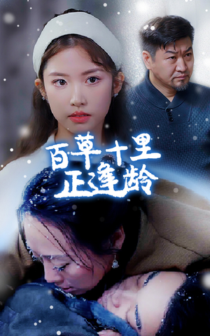 百草十里正逢龄(40集) 百草十里正逢龄(40集)解说