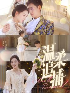 温柔追捕（89集）第32集