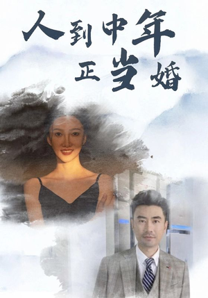 人到中年正当婚（81集）免费短剧资源