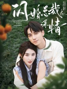 闪婚总裁太深情（93集）免费看