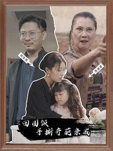 团圆饭手撕奇葩亲戚（40集）百度网盘资源