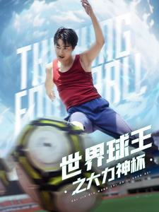 世界球王之大力神杯（35集）真的好看吗