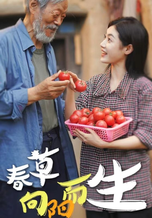 春草向阳而生（53集）高清无码免费看