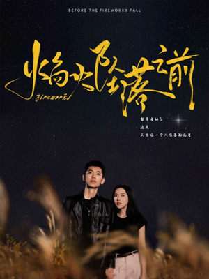 焰火坠落之前（99集）全集完整版