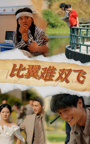 比翼难双飞（30集）迅雷网盘观看