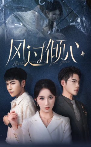 风过倾心（62集）免费看