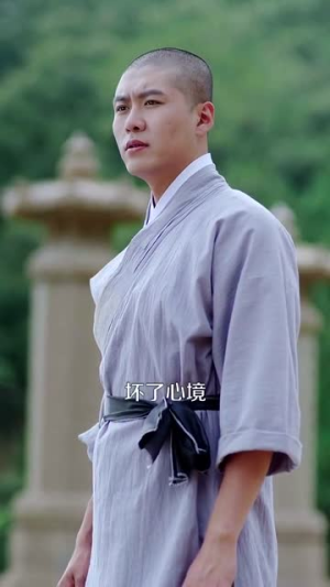 天下嵩山（29集）短剧前十排行榜