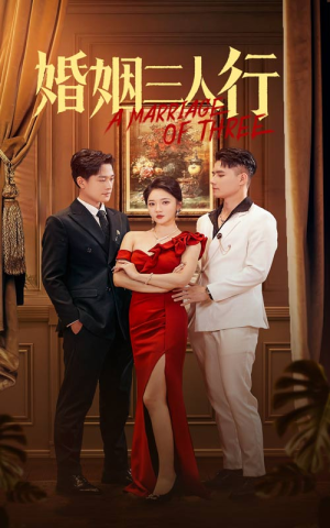 婚姻三人行（31集）短剧推荐更新中
