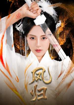 凤归（64集）好看吗