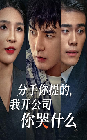 分手你提的，我开公司你哭什么（61集）迅雷网盘观看