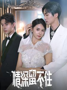 情深留不住（80集）短剧越看越精彩