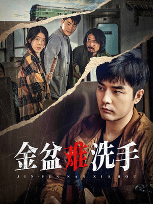 金盆难洗手（90集）在线看