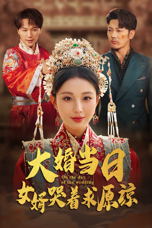 大婚当日，女婿哭着求原谅（31集）爆款短剧一起追