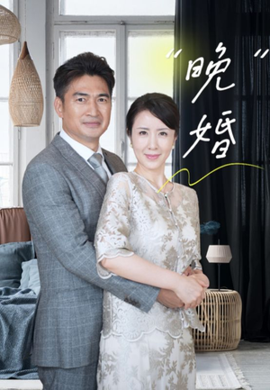 晚婚（65集）免费看短剧