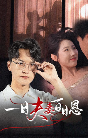 一日夫妻百日恩（30集）热播短剧追不停