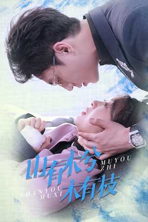 山有木兮木有枝（60集）热门短剧追不停