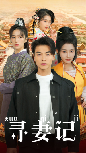 寻妻记（52集）全集我都看完了