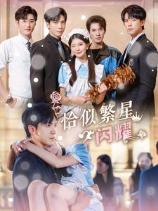 恰似繁星闪耀（74集）80到100集