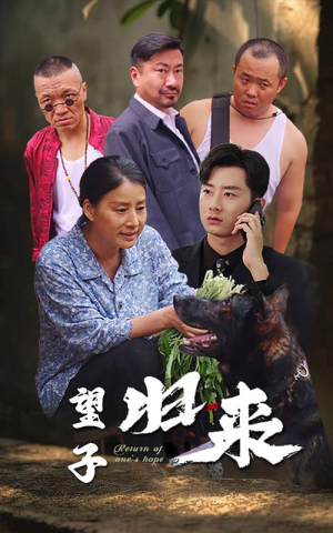 望子归来（50集）热门短剧大全