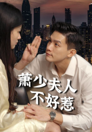 萧少夫人不好惹（100集）演员表