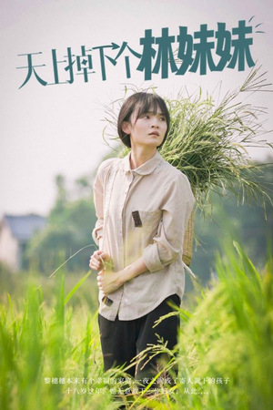 天上掉下个林妹妹(81集) 天上掉下个林妹妹(81集)短剧解说全集