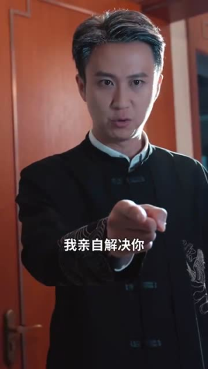 双生风云（92集）短剧后续更精彩