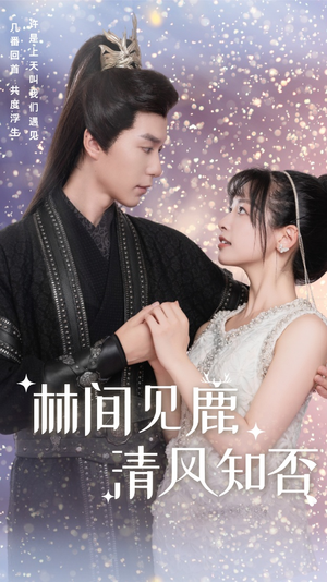 林间见鹿清风知否（62集）免费短剧看全集