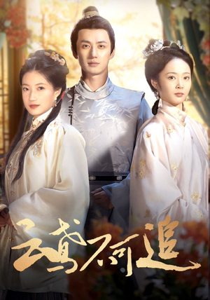 云鸢不可追（42集）海量资源免费看