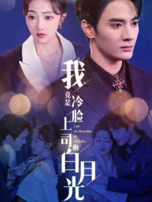 我竟是冷脸上司的白月光（80集）大结局完美收官
